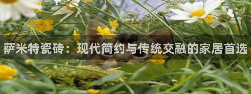 华润娱乐显92222