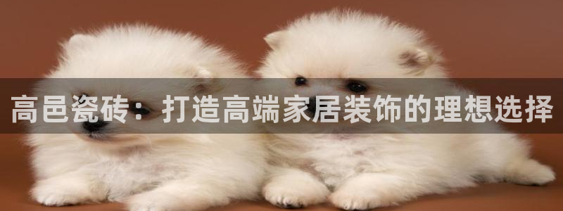 华润娱乐i3指尖