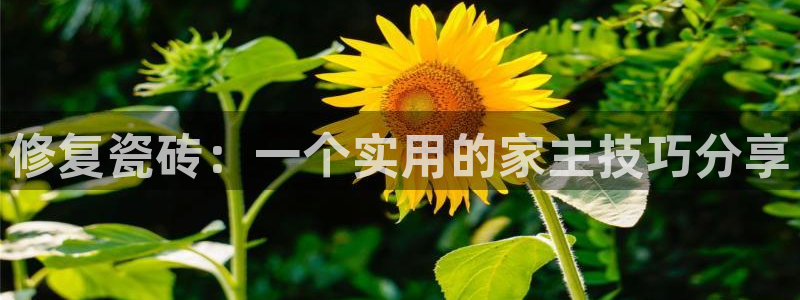 华润娱乐h3指尖