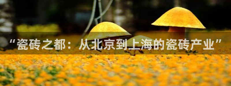 华润娱乐注册登录