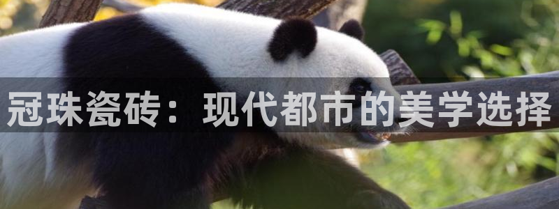 华润城娱乐设施