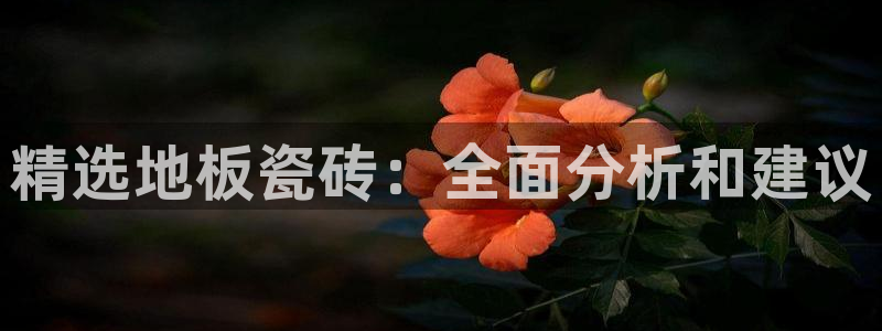 华润娱乐目前经营现状