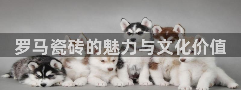 华润娱乐择q675.138