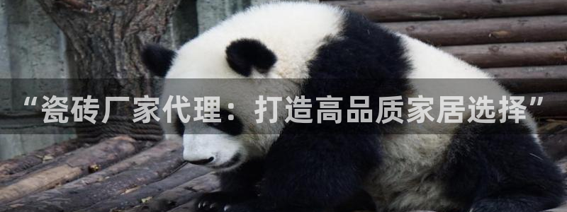 华润2娱乐qv382223