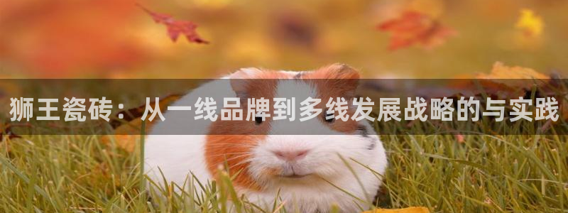 华润娱乐i3指尖