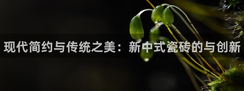 华润娱乐章92222