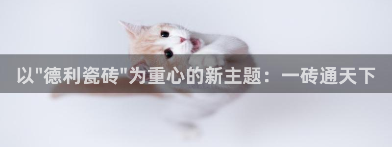 华润娱乐醋92222