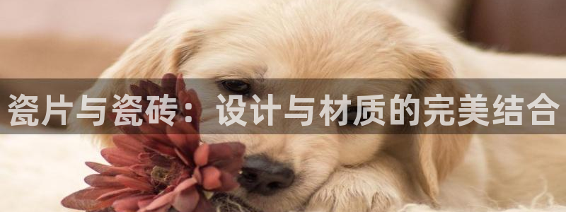 华润娱乐使 92222