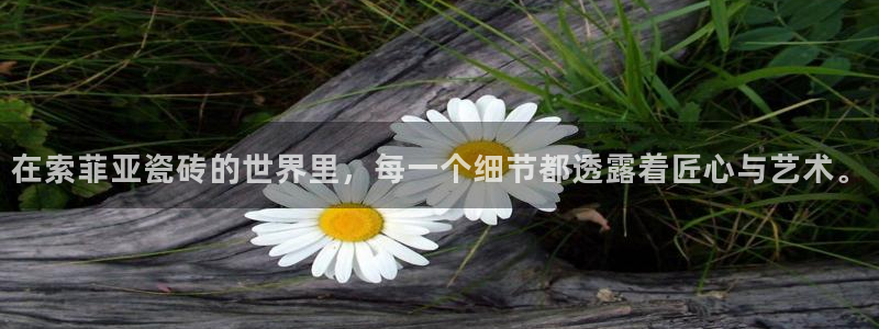 华润娱乐传媒