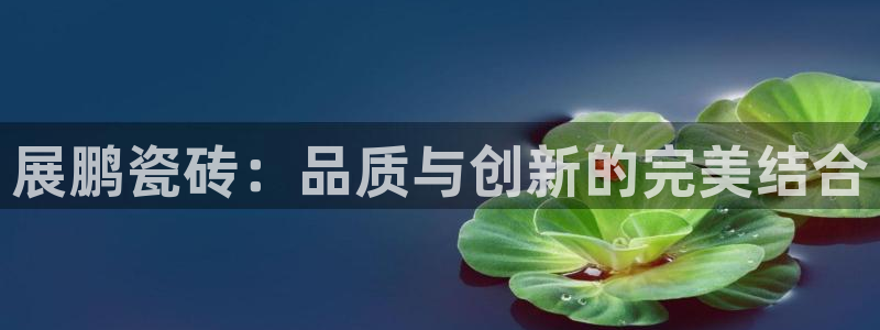 华润娱乐游戏