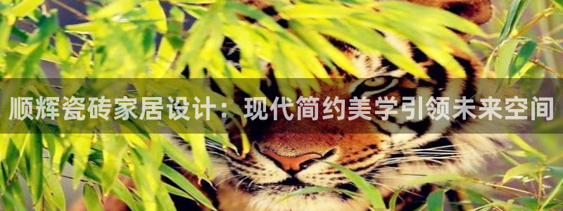 华润娱乐e3指尖