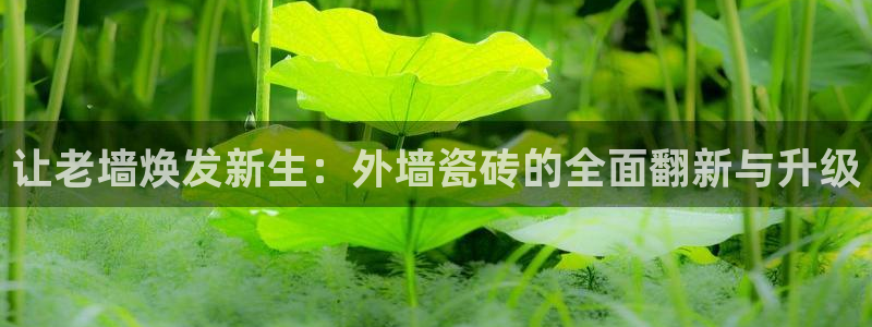 华润娱乐蚁122222