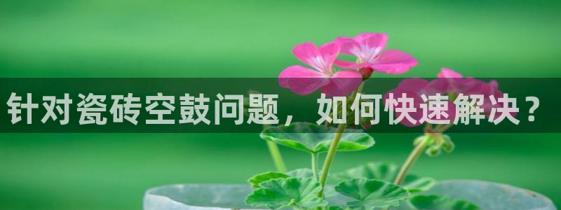 华润娱乐进