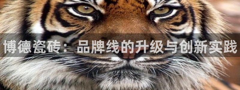 华润娱乐行政实习简历