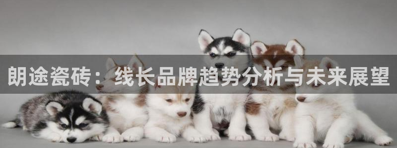 华润娱乐儋122222