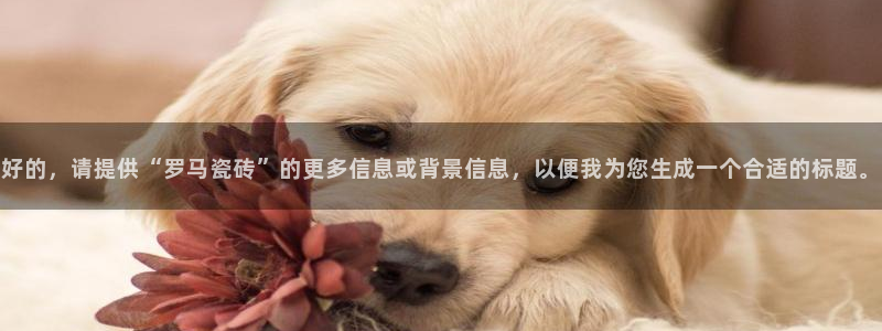 高州华润娱乐项目介绍
